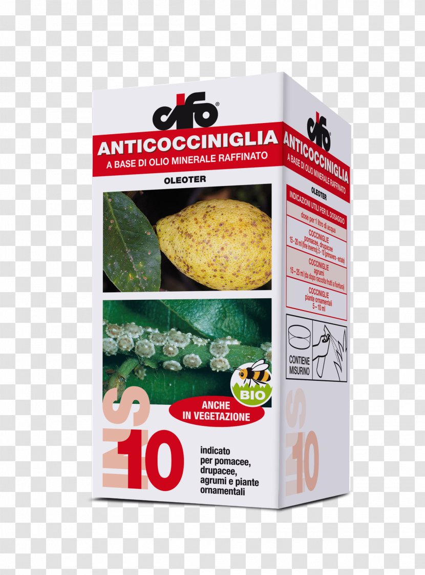 Yamadori Insecticide Bonsai Coccoidea Agriculture - Aechmea Transparent PNG