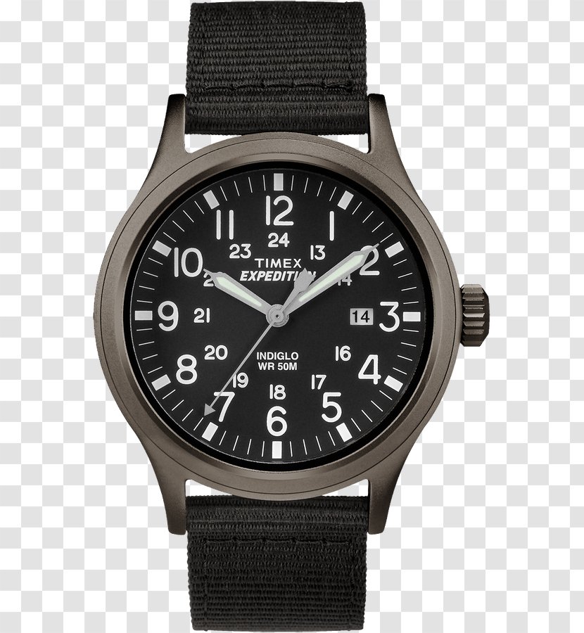 Timex Group USA, Inc. Watch Indiglo Chronograph - Brand Transparent PNG