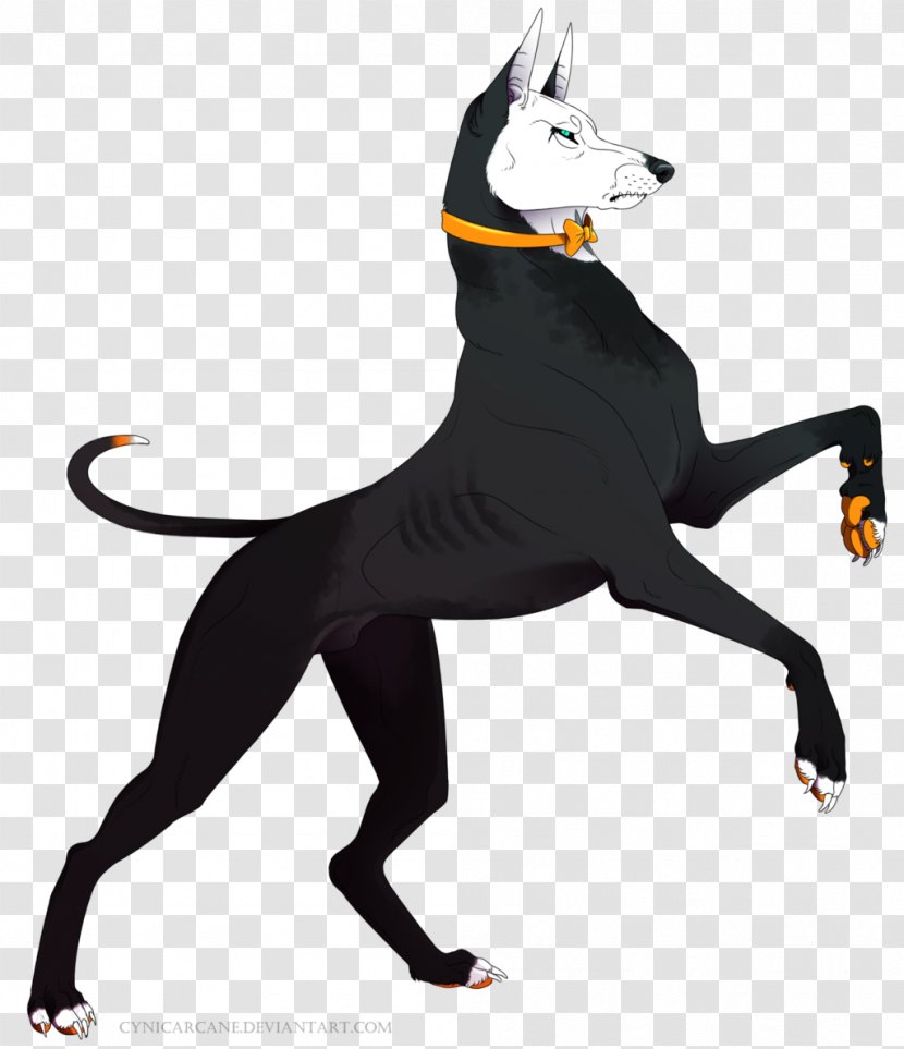 Dog Breed Cat Character Transparent PNG