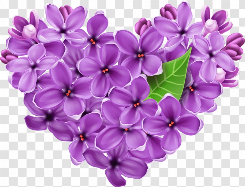 Common Lilac Heart Flower Clip Art Transparent PNG