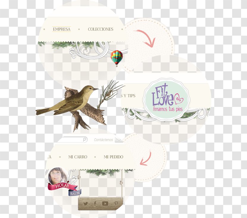Beak Orange-crowned Warbler New World Warblers Fauna Product Design - Woman - Feather Transparent PNG