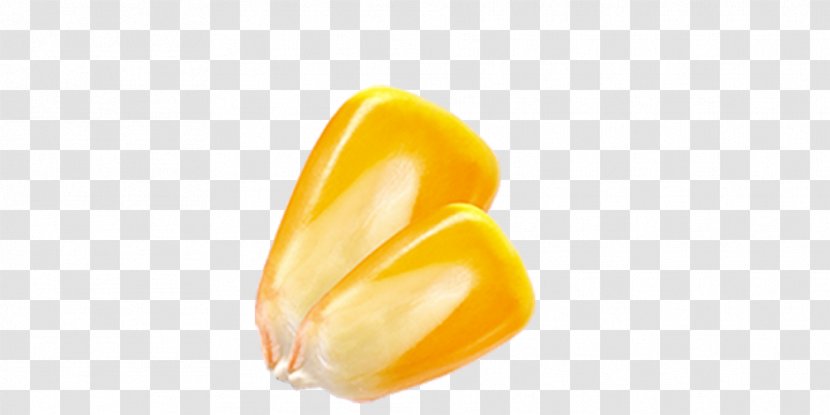 Yellow Orange Wallpaper - Computer - Corn Kernels Transparent PNG