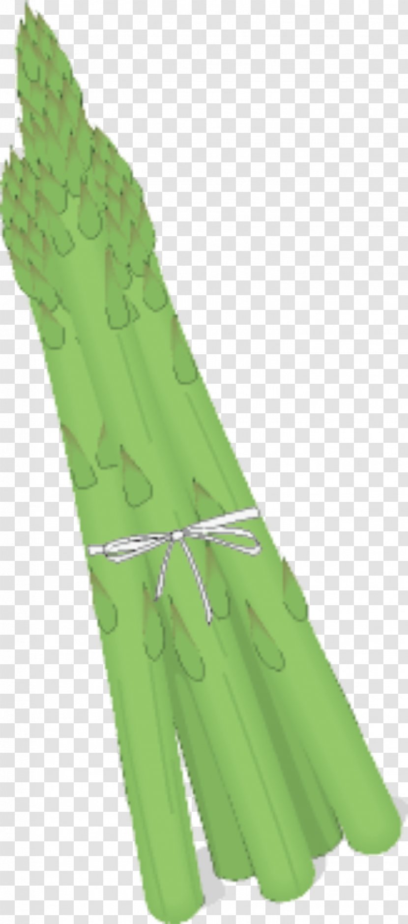 Bamboo Shoot Vegetable Bamboe - Shoots Transparent PNG