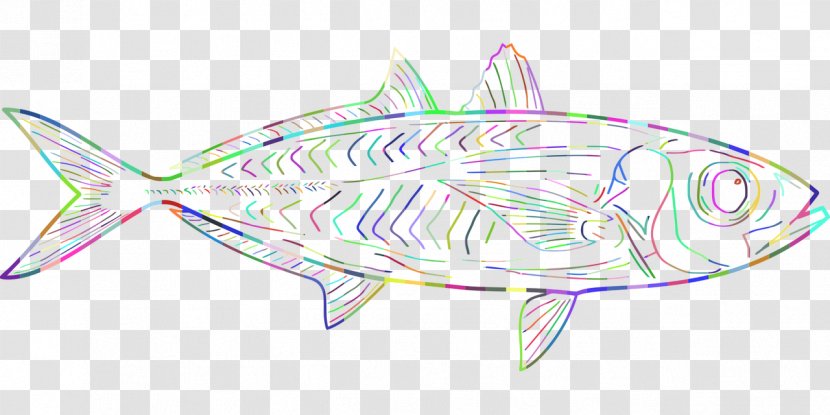 Clip Art Marine Biology Illustration Drawing Mammal - Baby Shark Images Transparent PNG