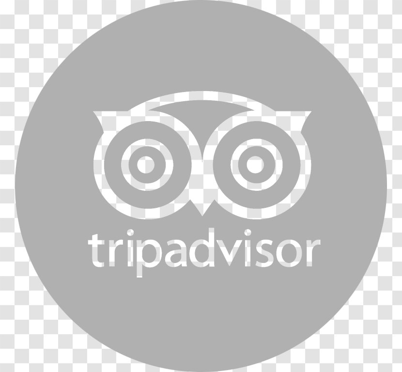 Hotel TripAdvisor Travel Waikiki Accommodation - Bird Of Prey Transparent PNG