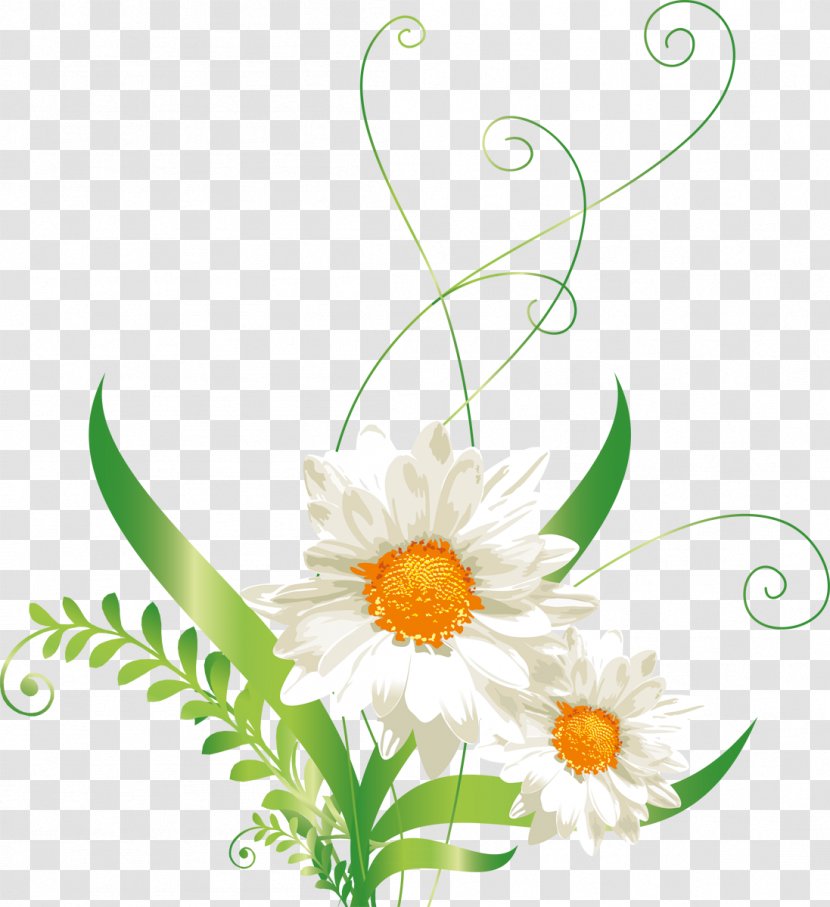 Raster Graphics Clip Art - Floristry - Daisies Transparent PNG