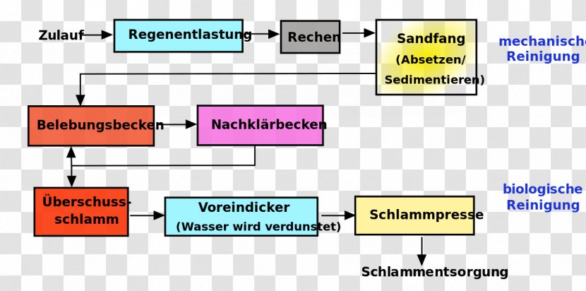 Eutrophication Chemistry Sewage Treatment Photosynthesis Sodium Chloride - Diagram - Flie Transparent PNG