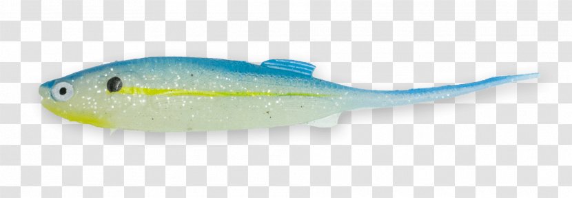 Marine Biology Fish - Organism - Jerky Transparent PNG