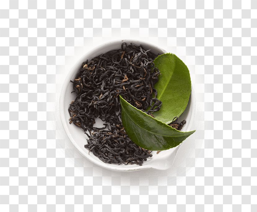 Green Tea Gyokuro Kombucha Black Transparent PNG
