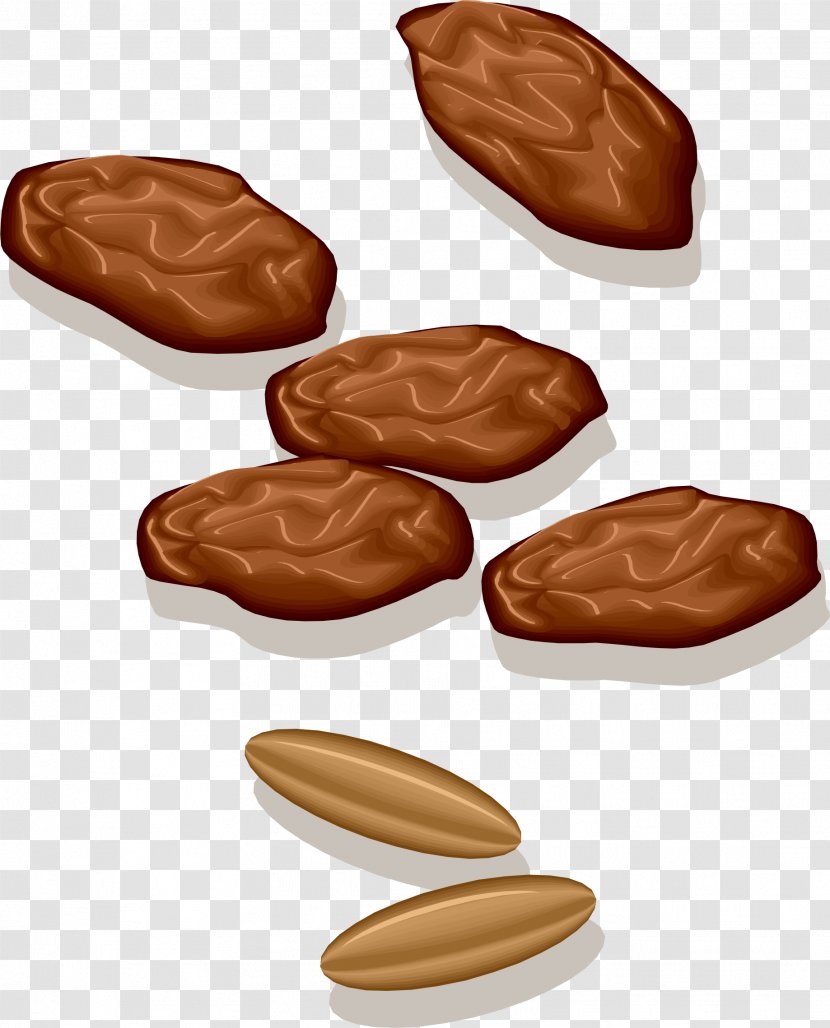 Date Palm Dates Clip Art - Praline Transparent PNG