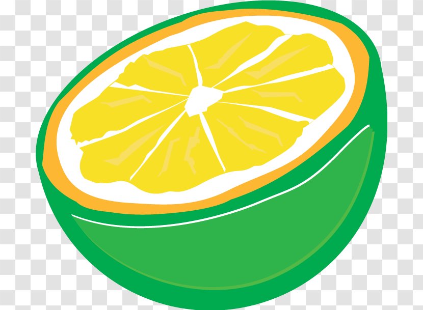 Lemon Lime Grapefruit Drawing - Plant - Cartoon Transparent PNG