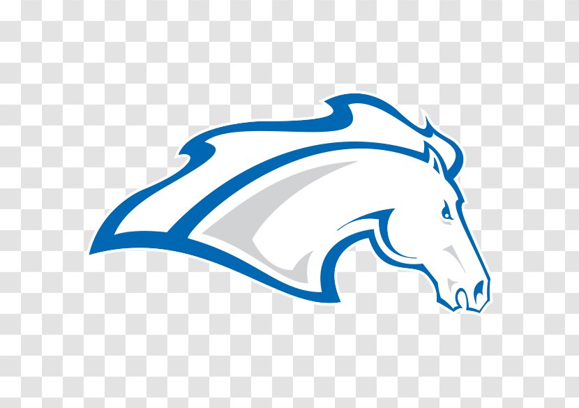 University Of Alabama In Huntsville Alabama-Huntsville Chargers Men's Ice Hockey Basketball Shorter Sport - Fictional Character - Whales Dolphins And Porpoises Transparent PNG