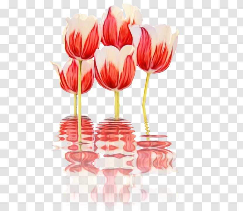 Cut Flowers Tulip Flower Bouquet Floral Design - Botany - Floristry Transparent PNG
