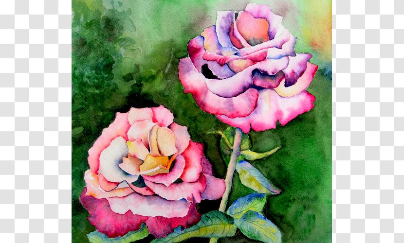 Garden Roses Cabbage Rose Floribunda Cut Flowers Floral Design - Watercolor Town Transparent PNG