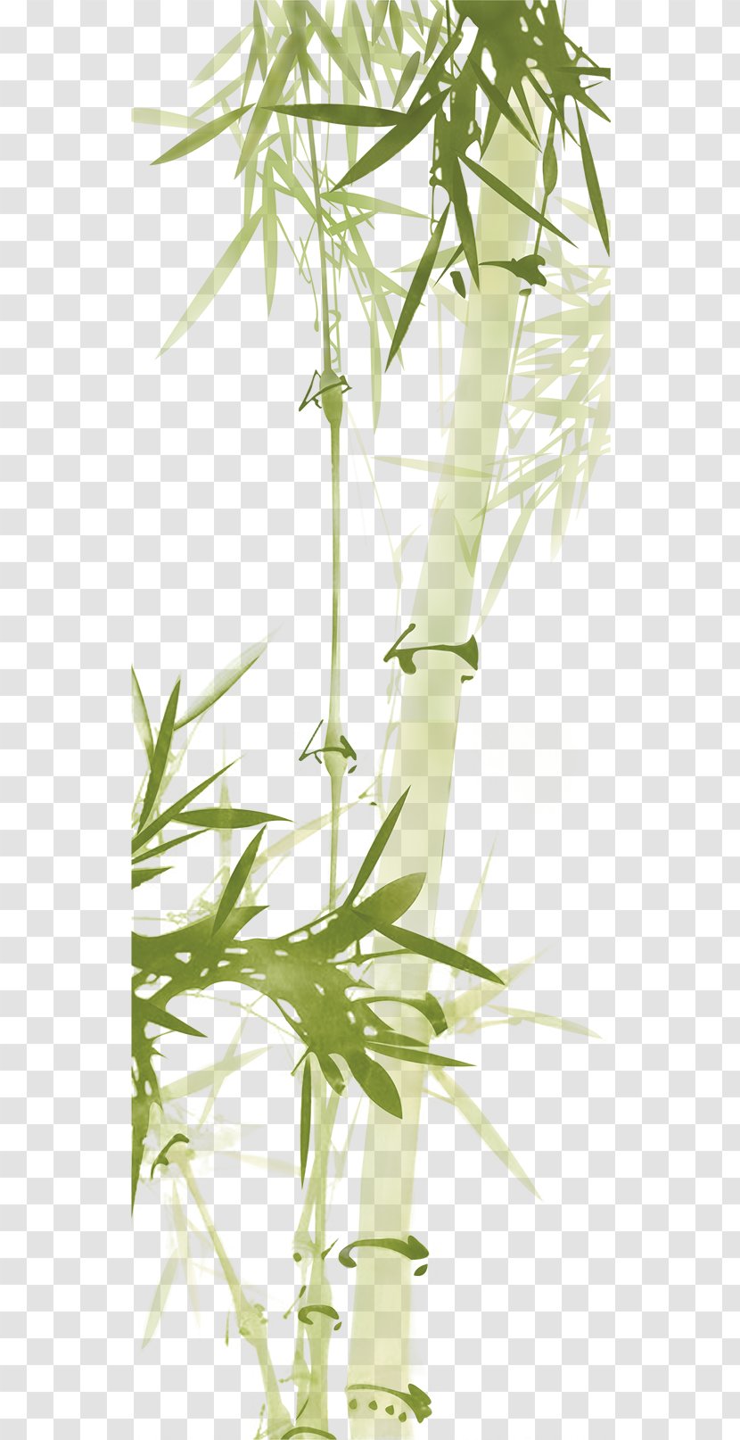 Bamboo Download Paper Computer File - Tree - Green Transparent PNG