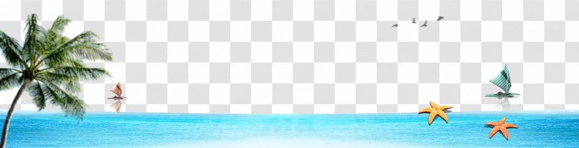 Vacation Tourism Beach - Water - Background Transparent PNG