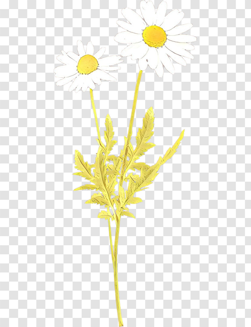 Yellow Plant Flower Pedicel Plant Stem Transparent PNG