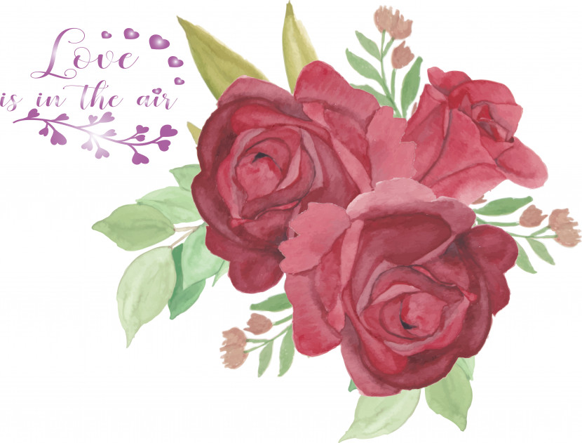 Floral Design Transparent PNG