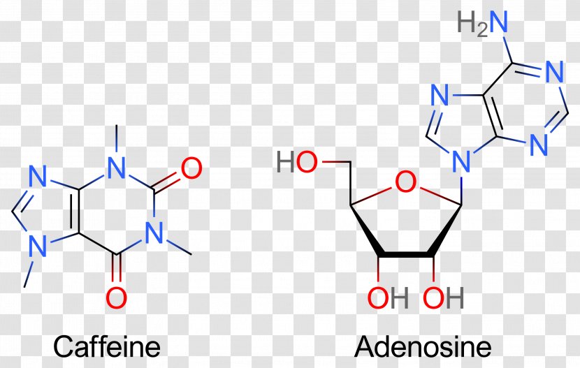 Adenosine Receptor Antagonist Caffeine Triphosphate - Frame - Parkinson Transparent PNG