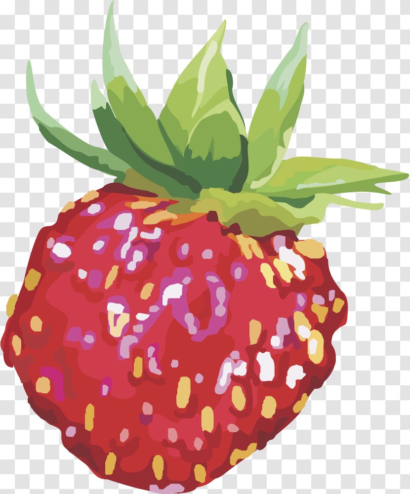 Strawberry Fruit Euclidean Vector - Plant Transparent PNG