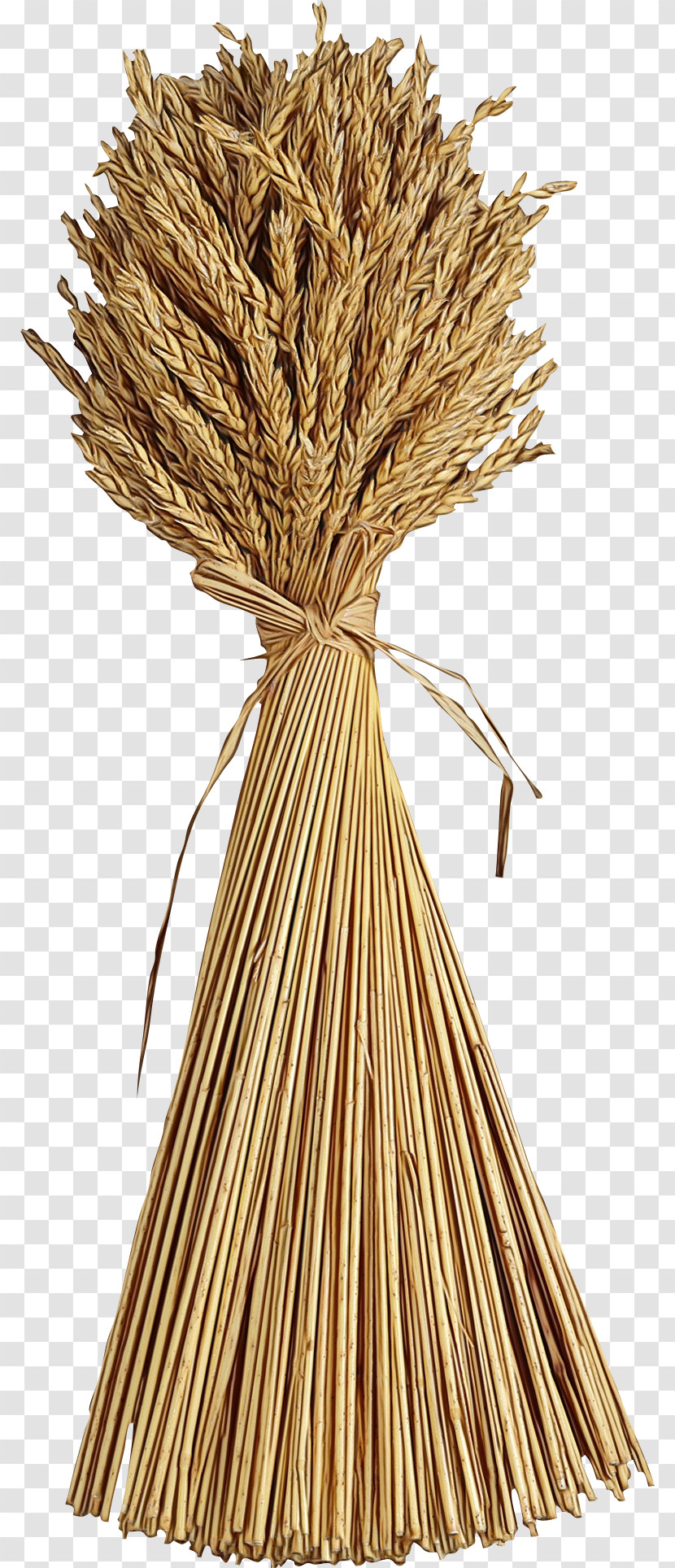 Wheat Transparent PNG