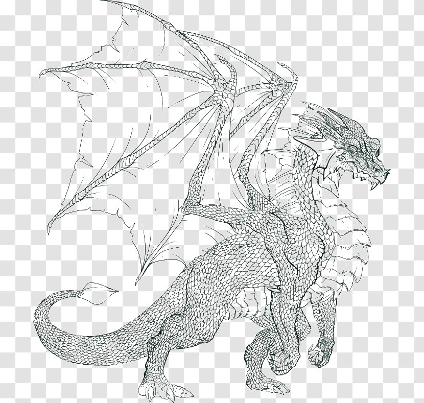 Coloring Book Dragon Colouring Pages Child Adult - Art Transparent PNG