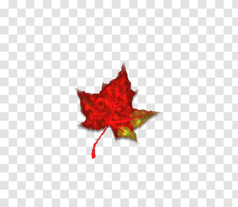Autumn Red Icon - Triangle - Leaves Season Wind Transparent PNG