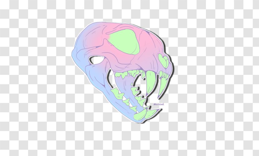 Skull Cartoon - Jaw Transparent PNG