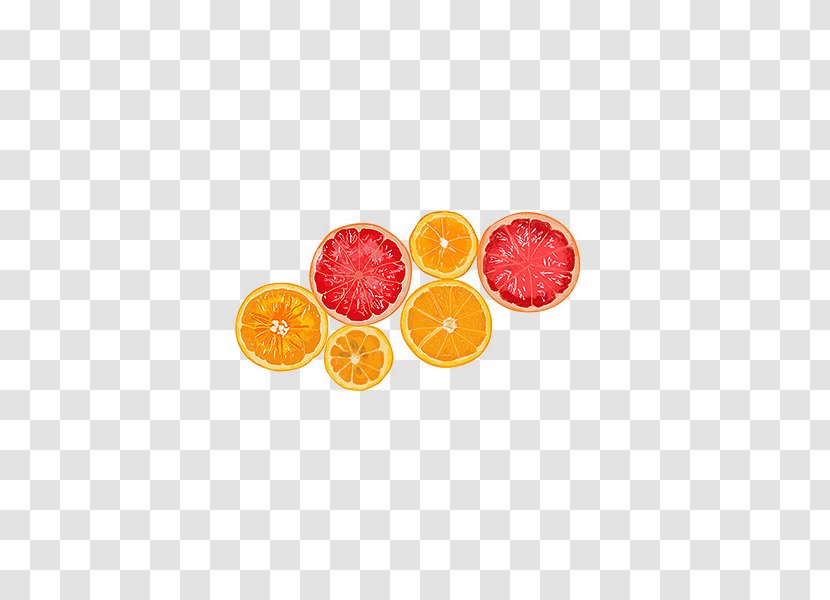 Orange Lemon - Confectionery - Cartoon Painted Slices Transparent PNG
