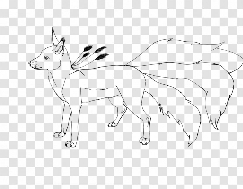 Red Fox Line Art Dog Breed Drawing Transparent PNG
