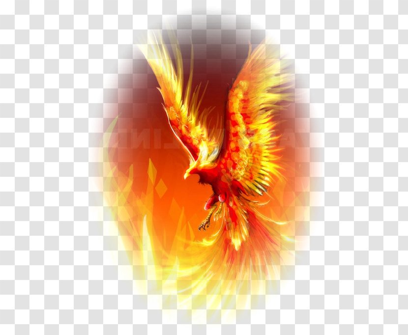 The Flight Of Phoenix Vermilion Bird Mythology Legendary Creature - Orange - Consciousness Transparent PNG