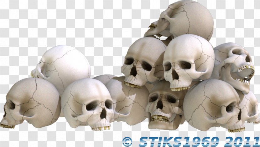 Drawing Skull Desktop Wallpaper - Heap Transparent PNG