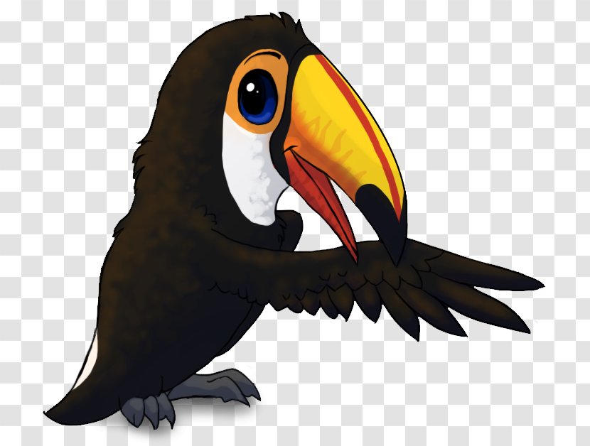 Bird Toco Toucan Drawing Animation Transparent PNG