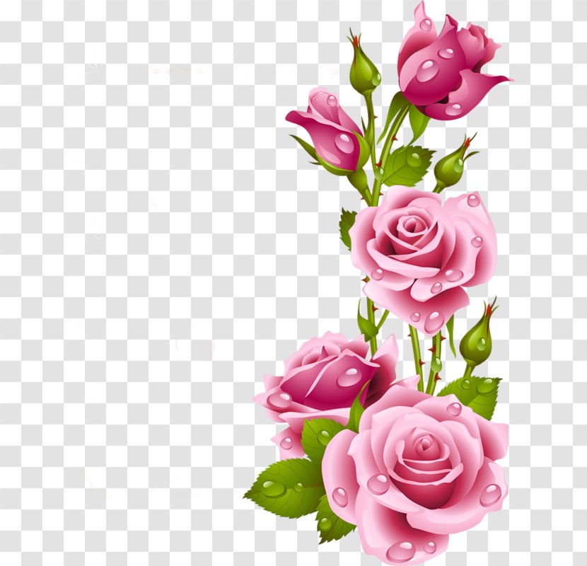 Picture Frames Rose Flower Clip Art - Cut Flowers Transparent PNG