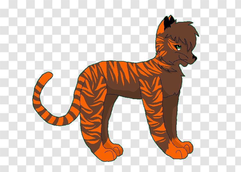 Tiger Lion Cat Wildlife Animal - Organism Transparent PNG