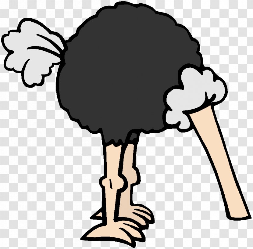 Common Ostrich Bird Cartoon Comics Clip Art - Flightless Transparent PNG