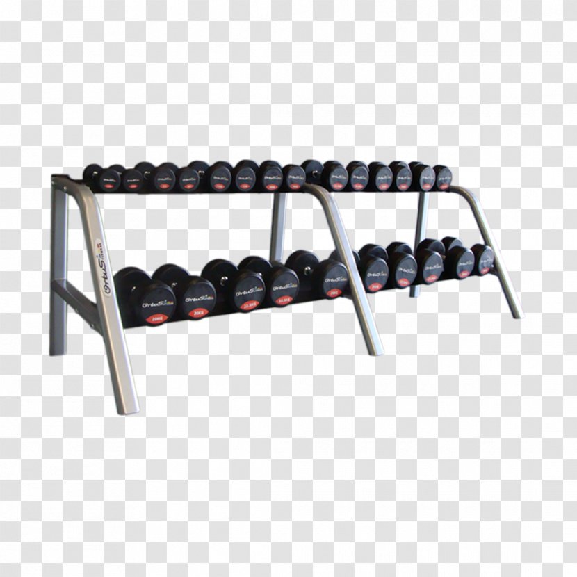 Dumbbell Fitness Centre Weight Training Physical - Kilogram Transparent PNG