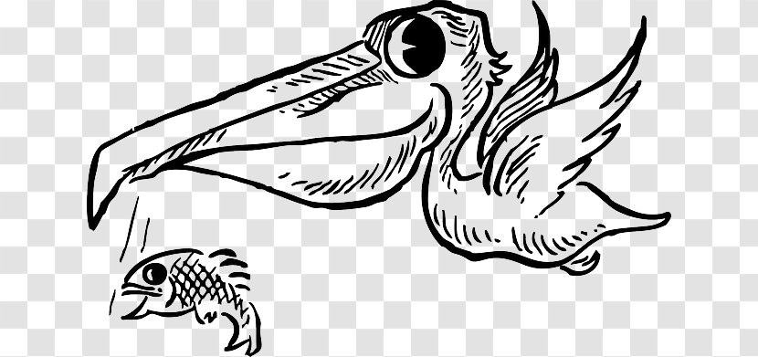 Cartoon Drawing Brown Pelican Clip Art - Aquariumlighting Of The Seawater Transparent PNG