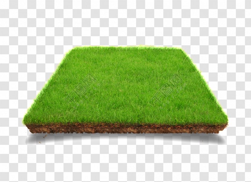 Chandana Mohan Rao Nursery Lawn Garden Artificial Turf Image - Grass Transparent PNG