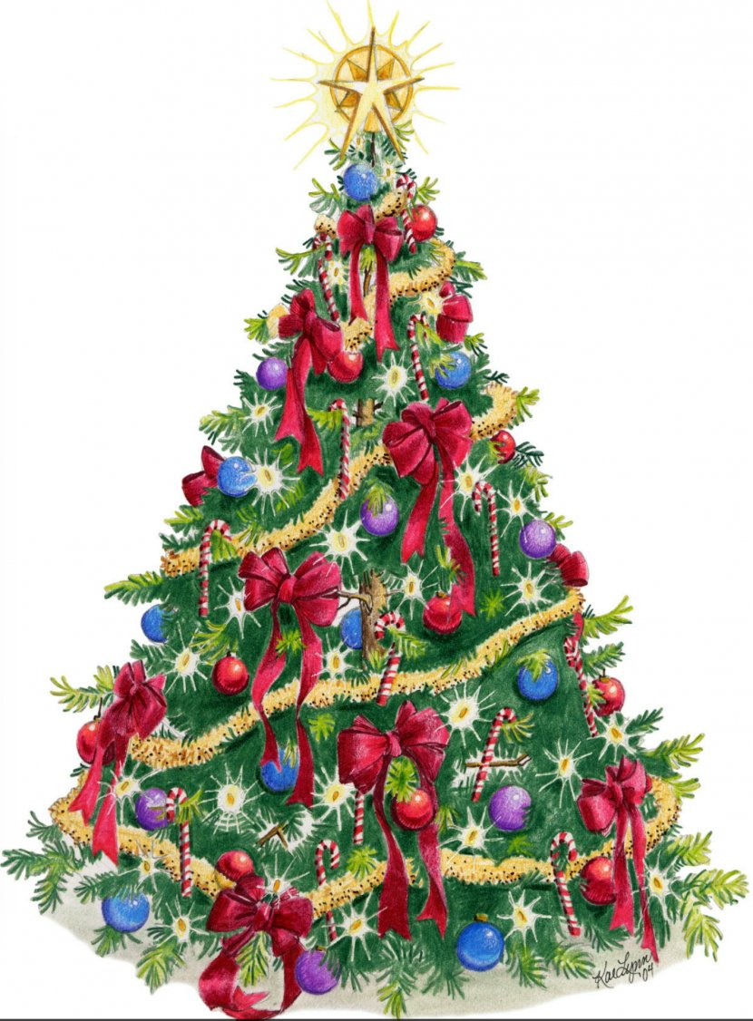 Christmas Tree Desktop Wallpaper Clip Art - Pine Family Transparent PNG
