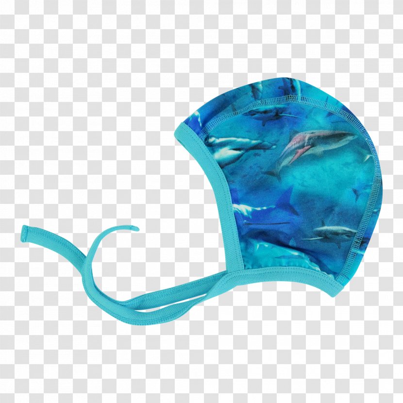 Dolphin Porpoise Marine Mammal Turquoise Teal - Cetacea - BABY SHARK Transparent PNG