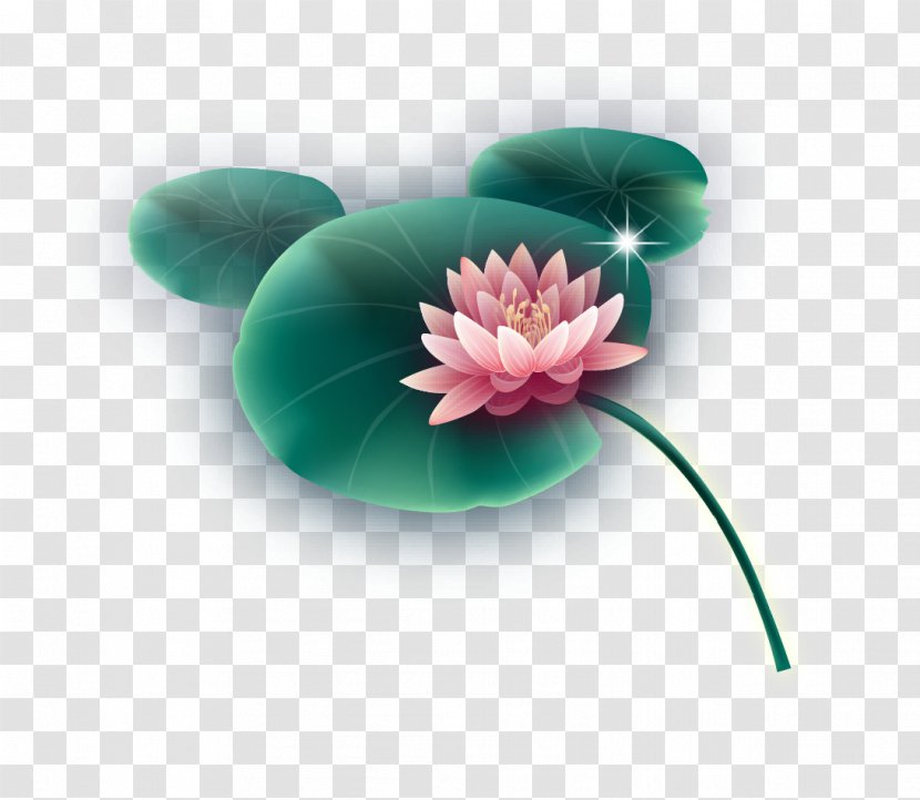 Nelumbo Nucifera Leaf Lotus Effect - Great Fresh Transparent PNG