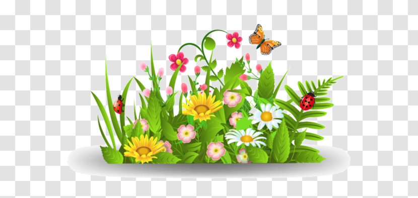 Flower Clip Art - Membrane Winged Insect Transparent PNG