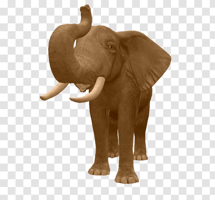 Indian Elephant African The Elephants Dog - Organism Transparent PNG