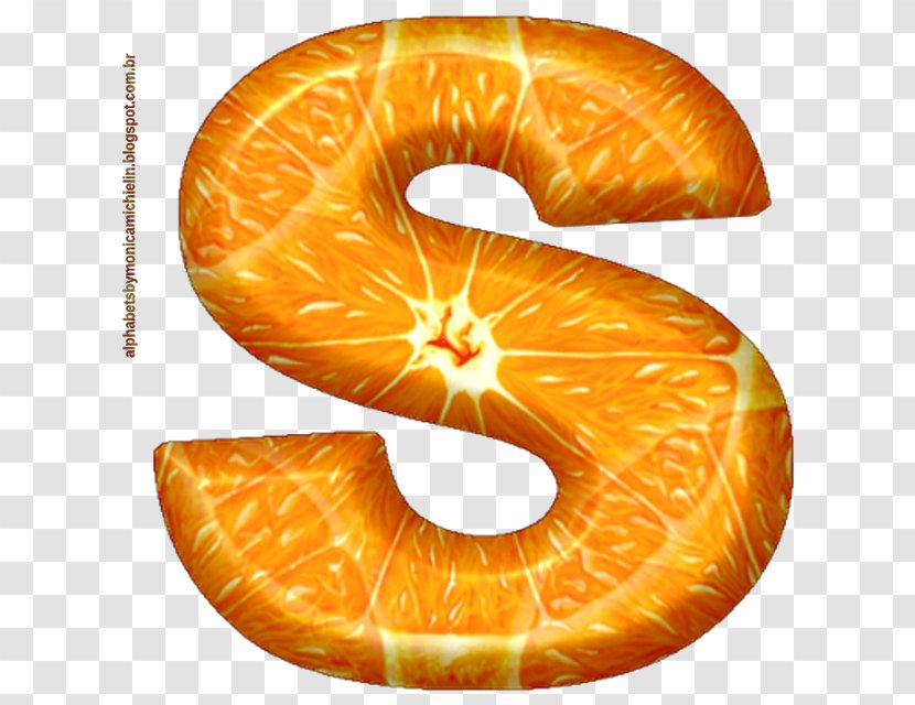 Danish Pastry Orange S.A. Nautiluses Drawing Fruit - Orang Transparent PNG