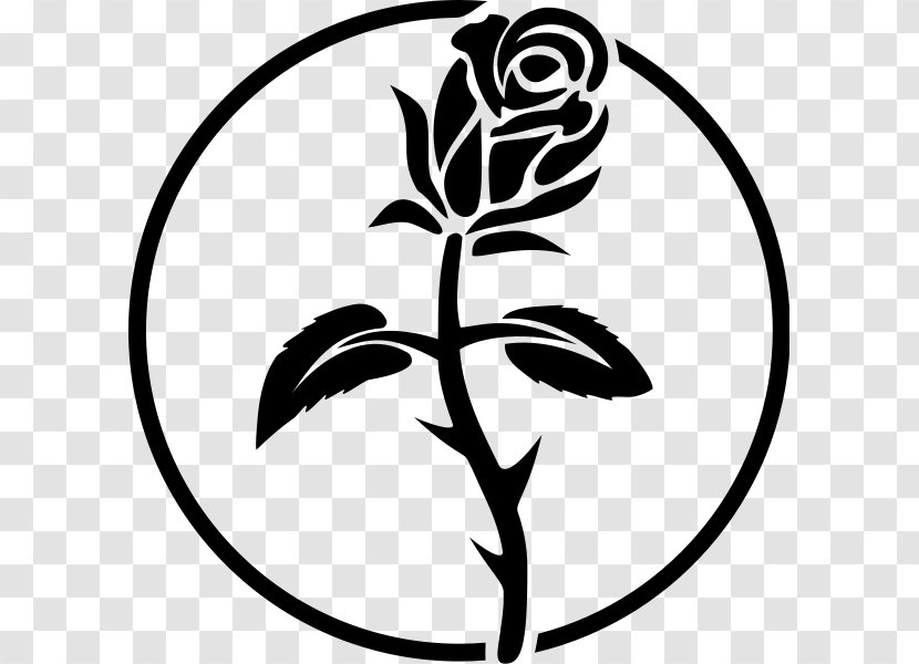 Anarchism Symbol Black Rose Anarchist Cross Federation Flag - Leaf - Anarchy Transparent PNG