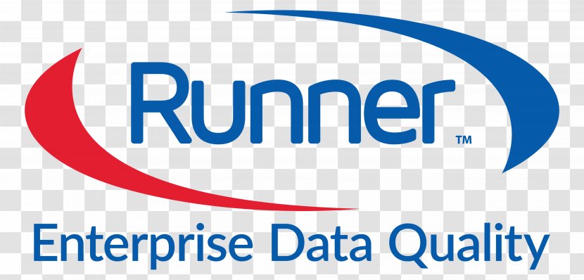 Oracle Corporation Data Quality Business System Integration Enterprise Resource Planning - Runner Transparent PNG