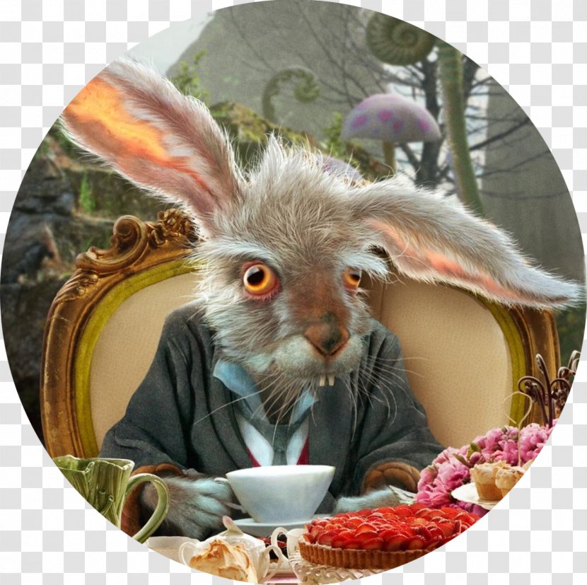 White Rabbit The Mad Hatter Caterpillar Alice's Adventures In Wonderland Red Queen - Alice Transparent PNG