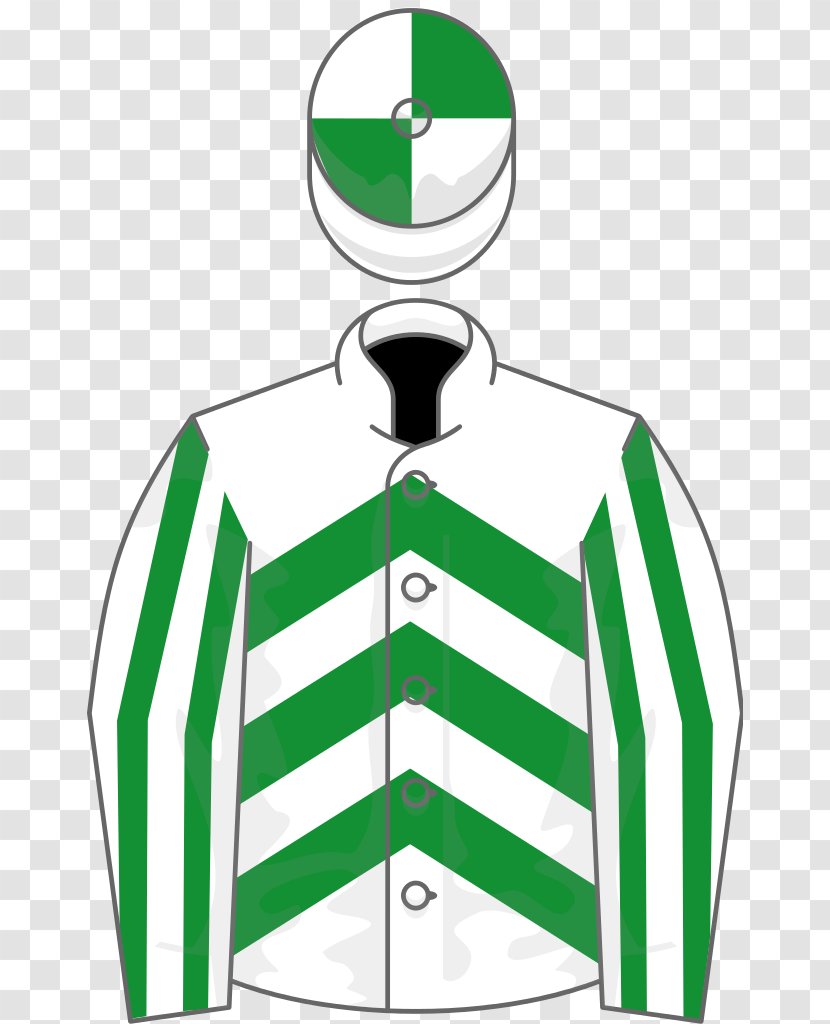 2019 Grand National 2018 Aintree Racecourse Horse Tiger Roll Transparent PNG