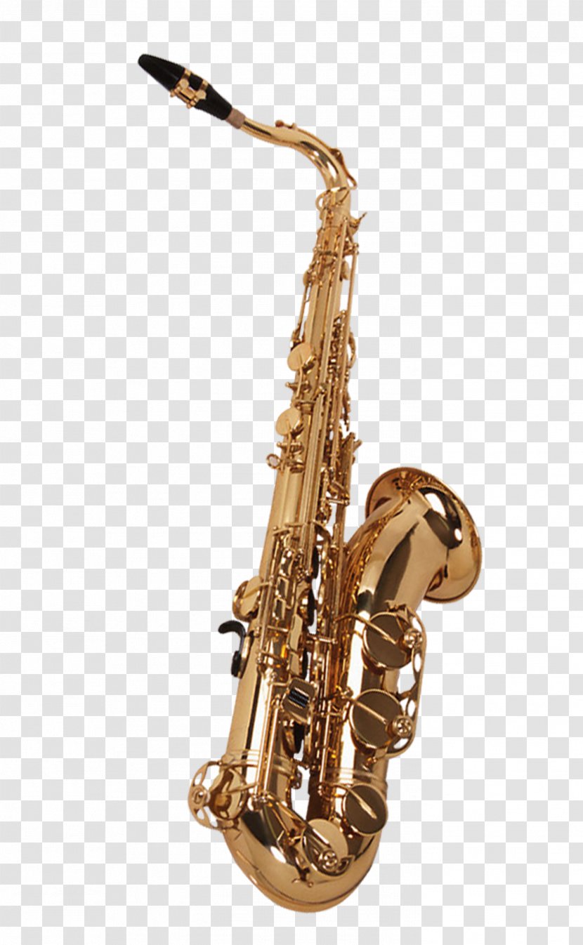 Baritone Saxophone Musical Instrument Wind - Tree - Instruments Transparent PNG
